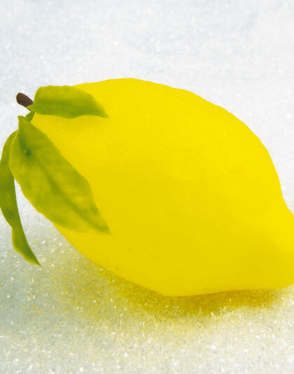 Stor Citron med Blad