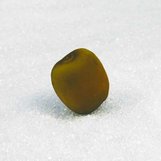 7cm Kiwi