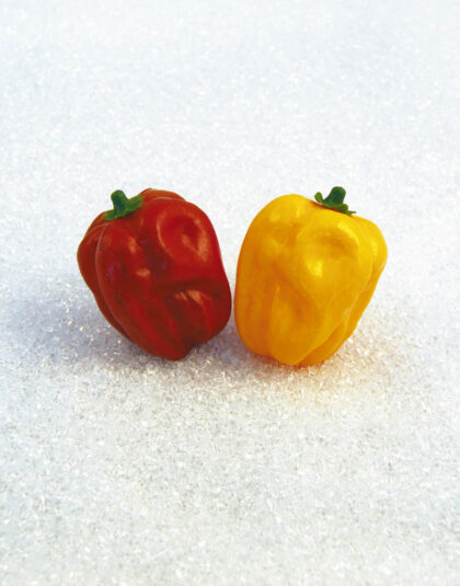 Härlig Gul Paprika