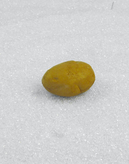 Härlig Potatis