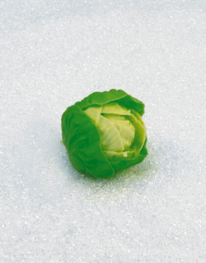 10cm Salladshuvud
