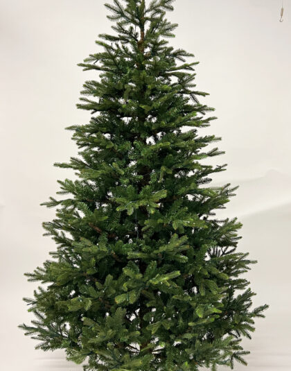 Gran Fraiser 305x183cm
