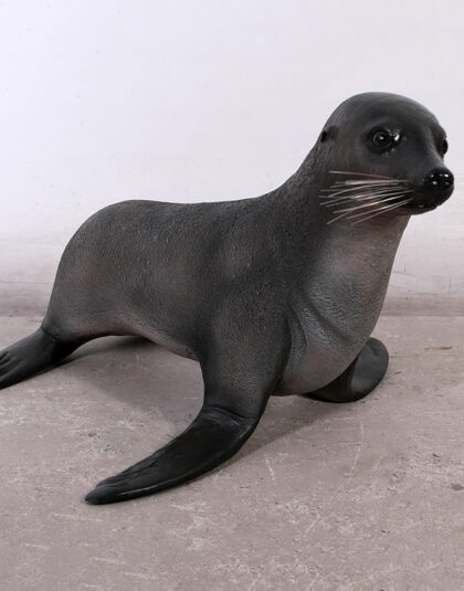 Säl 71cm