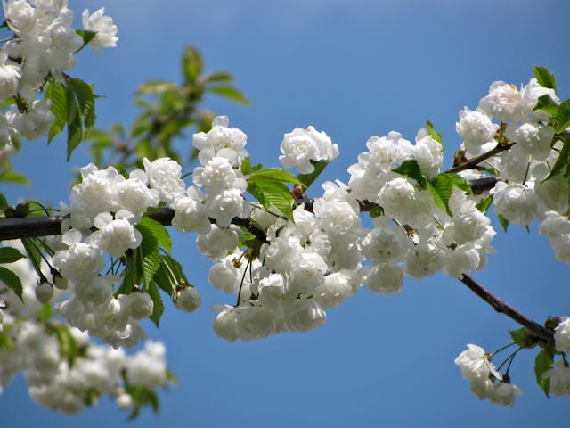 Girlang av blommor från Gillgrens Dekor - hållbar och unik dekoration för butiksmiljöer och köpcentrum.
