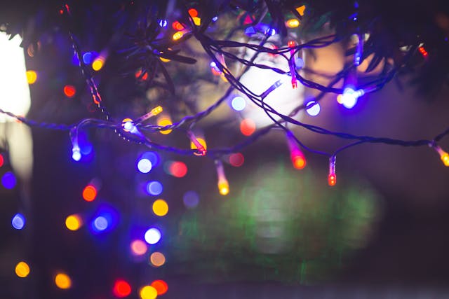 Juldekoration skyltfönster med klassiska granar och ljusslingor från Gillgrens Dekor i Göteborg.